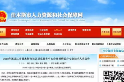 官方网站招聘信息,职位亮点与应聘指南