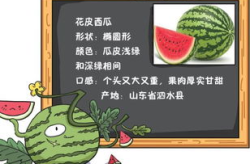 伯爵府吃瓜日常免费阅读,免费阅读，揭开贵族生活的神秘面纱